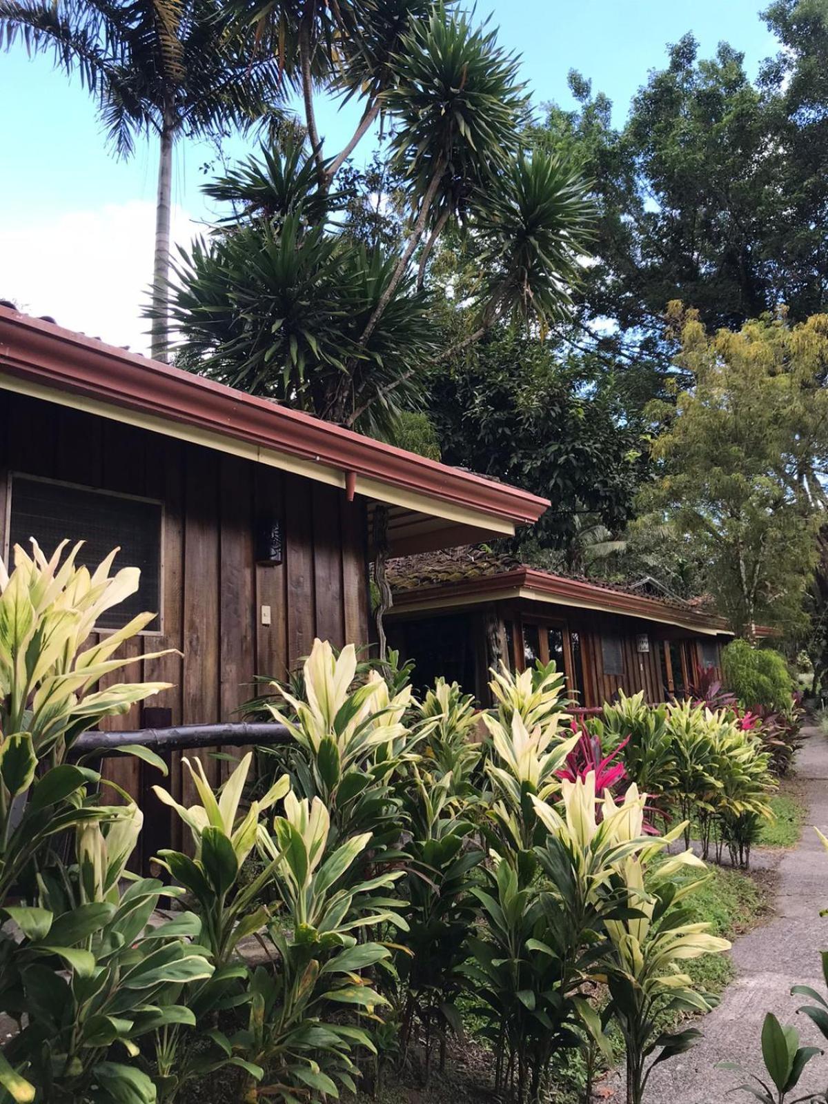 Hotel Kokoro Mineral Hot Springs La Fortuna 외부 사진